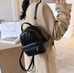 NY-2079-Black